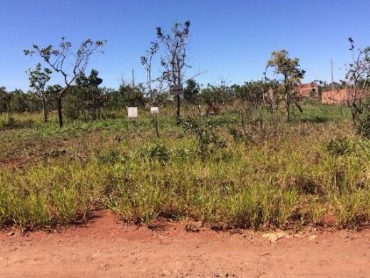 Terreno 250m² Ótimo Investimento - 300mts da UCDB
