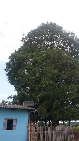 Fazenda 3288 ha terra Rosario Oeste MT braquearia 2020 cab boi R$ 6 mil reais p ha - Foto 16