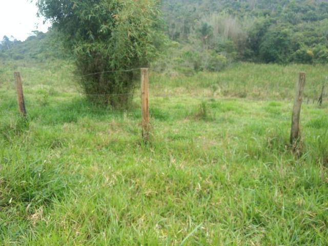 Terreno 3000m2 Igrejinha para Granja, com uma obra iniciada, 2 quartos pela metade - Foto 10