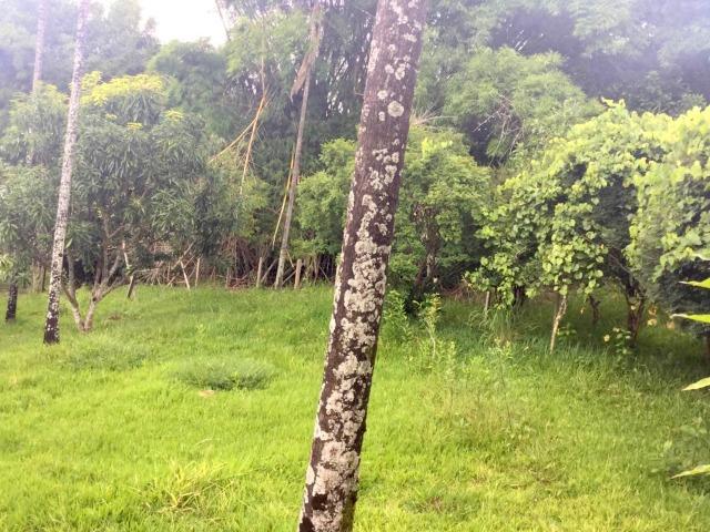 Cód.5684- Chácara Itapuã - Sítio do Recreio - Anápolis - Foto 20