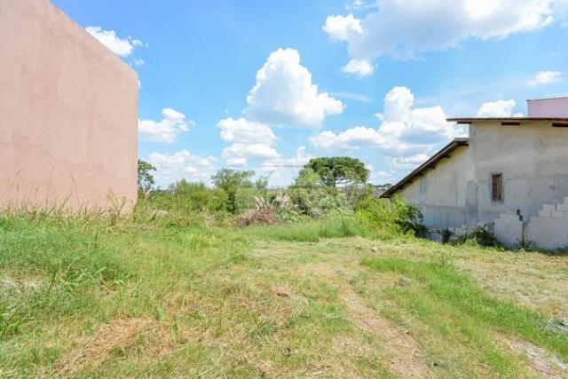 Terreno à venda em Aristocrata, São josé dos pinhais cod:146143 - Foto 5