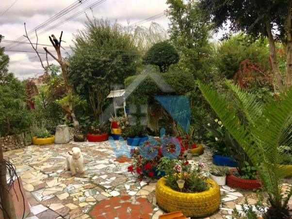 Casa à venda com 3 dormitórios em Cidade industrial, Curitiba cod:CA00600 - Foto 14