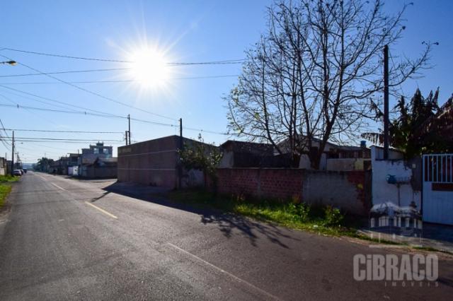 Terreno à venda em Afonso pena, São josé dos pinhais cod: * - Foto 5