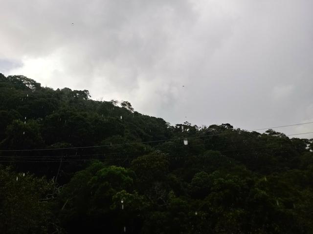 Mata natural - Foto 2