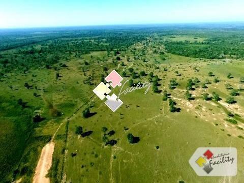 Fazenda rural à venda, zona rural, poconé - . - Foto 5