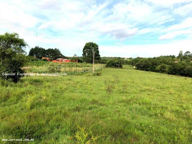 Fazenda para venda em encruzilhada do sul, interior