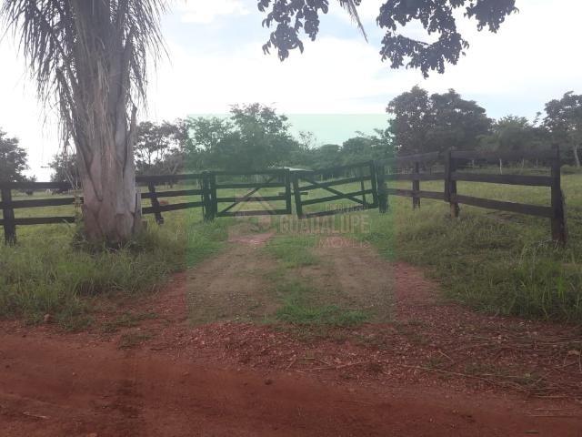 Sitio em nossa senhora do livramento em MT