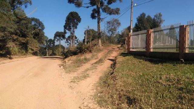 Chácara à venda em Contenda, São josé dos pinhais cod:1823956