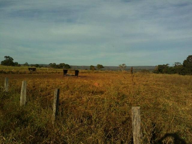Fazenda 2.520 Alqueires - Foto 4