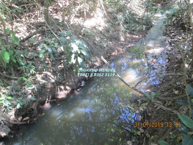 Chácara de 8 alqueires formado, com água, piscina, em Abadiânia - Foto 6