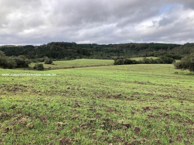 Fazenda para venda em encantado, interior - Foto 5