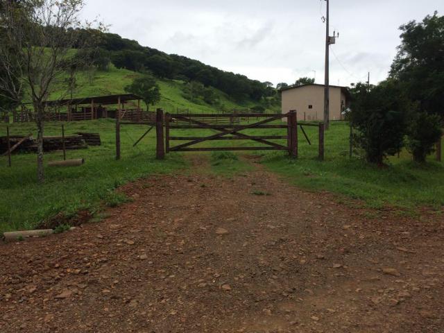 Fazenda rural à venda em Roncador - PR - 52 alqueires. - Foto 5