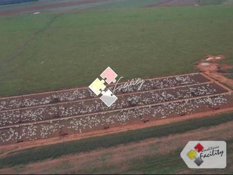 Fazenda rural à venda, centro norte, cuiabá - . - Foto 9