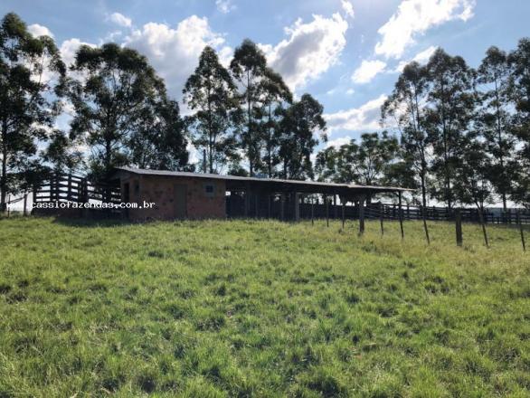Fazenda para venda, interior - Foto 6