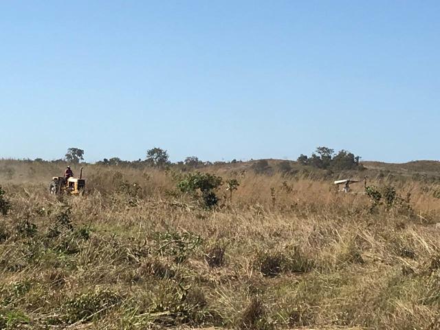 Fazenda 300,hectares - Foto 2