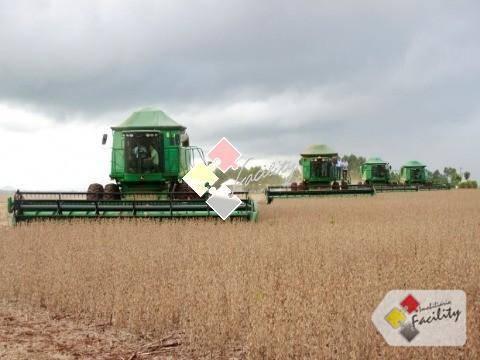 Fazenda rural à venda, centro norte, cuiabá - . - Foto 10