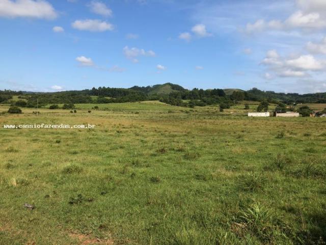 Fazenda para venda em amaral ferrador, interior - Foto 2