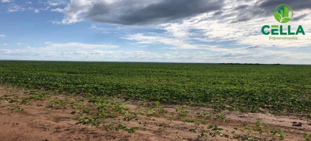 Fazenda / 4.639 ha (958 Alq.) / Balsas / Maranhão - Foto 2