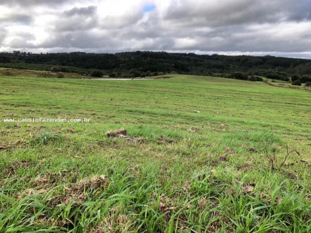 Fazenda para venda em encantado, interior - Foto 10