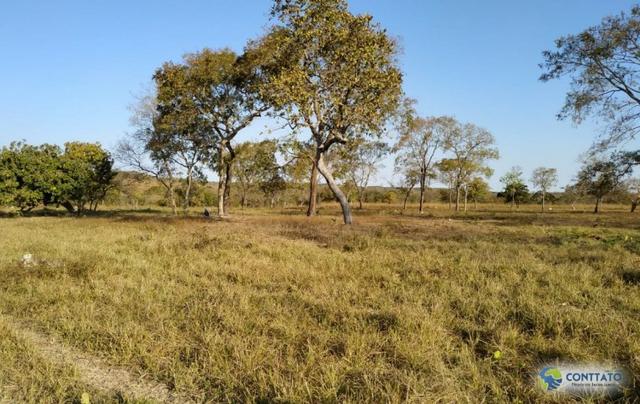 Fazenda 92 Ha toda formada e divisao de pasto - Foto 7