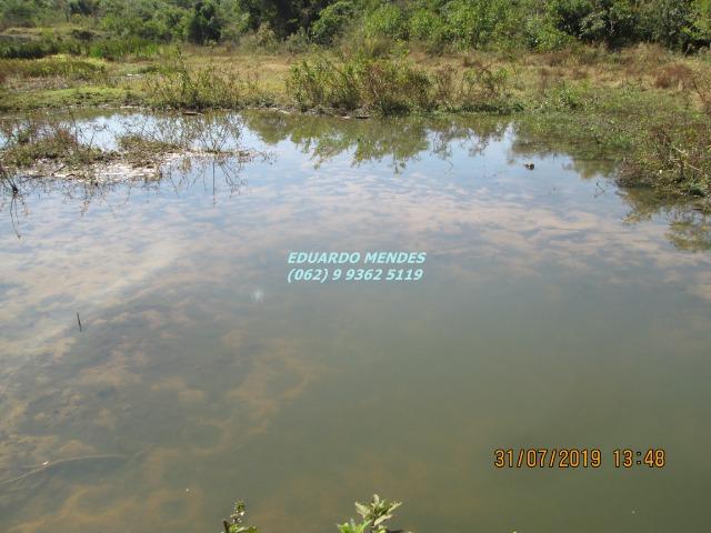 Chácara de 8 alqueires formado, com água, piscina, em Abadiânia - Foto 4