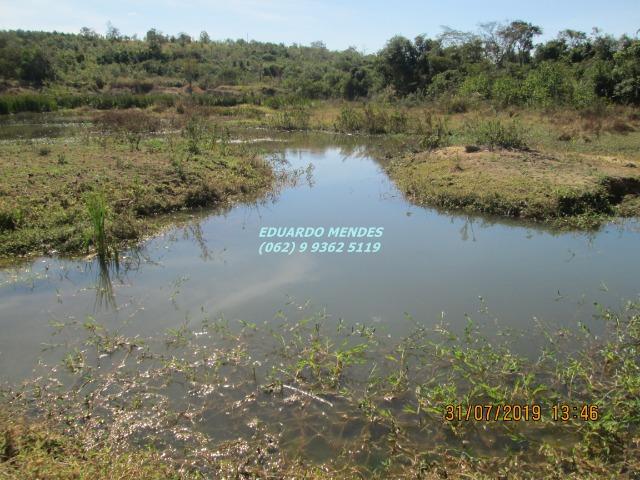 Chácara de 8 alqueires formado, com água, piscina, em Abadiânia - Foto 3