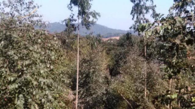Chácara à venda em Contenda, São josé dos pinhais cod:1823956 - Foto 3