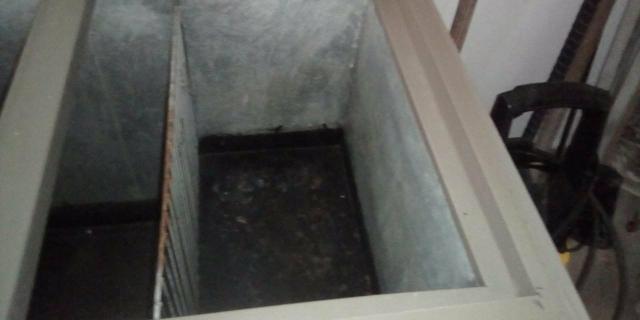 Veesse freezer da marca prosdocimo bem consevado ta faltando trocar a borracha - Foto 2