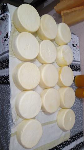 Queijo colônial
