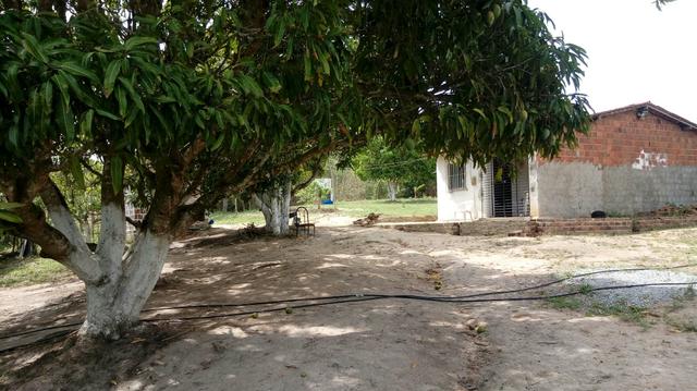 Sitio , fazenda, chácara - Foto 8