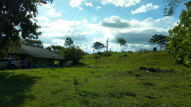 Fazenda 1450 hectare - Foto 5