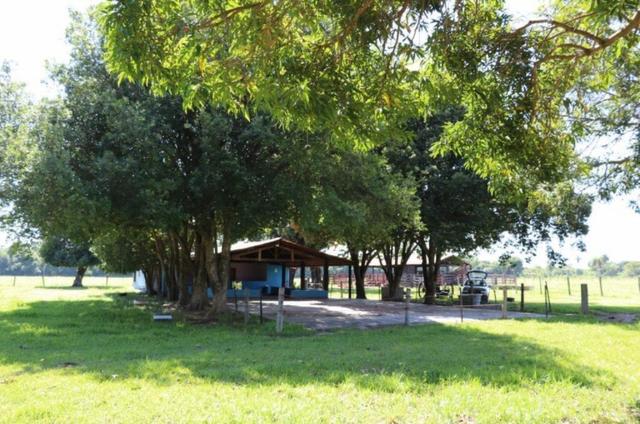 Fazendo a venda - Foto 2