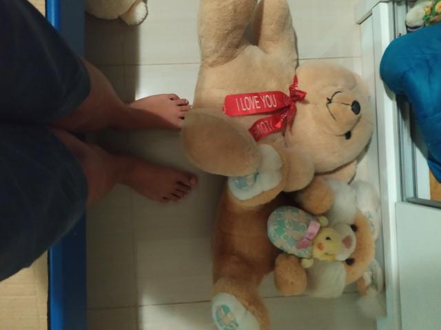 Pelucia - Foto 6