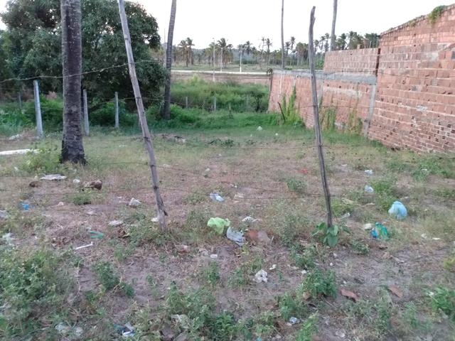Terreno na praia de são José da coroa grande - Foto 2
