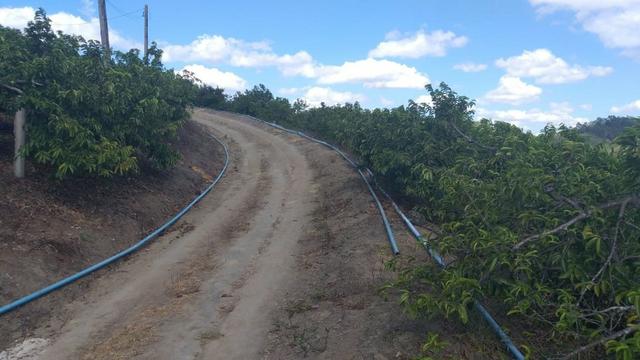 Excelente propriedade em Chã Grande, com 7 hectares - Foto 18