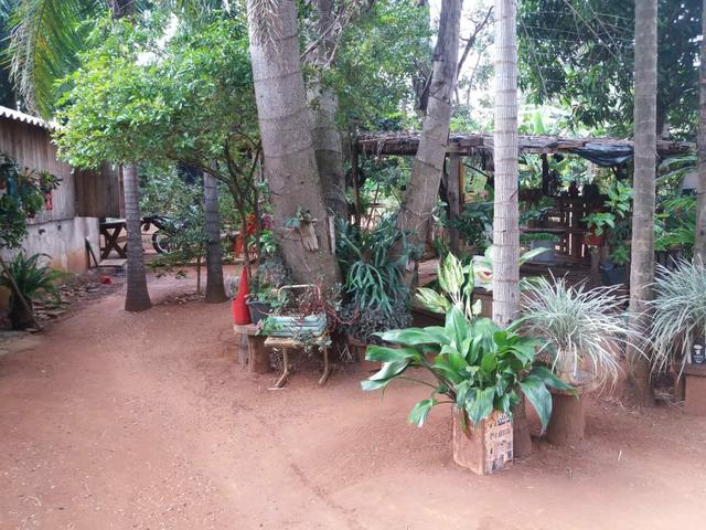 Vendo chácara de 7 hectares com 2 casas 1 cozinha caipira com fogão de lenha - Foto 10