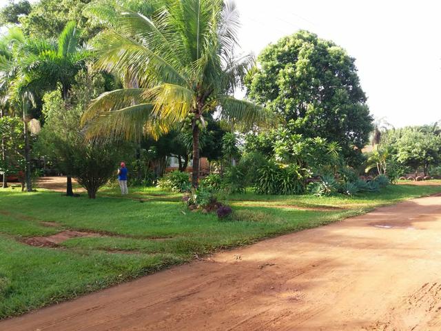 Vendo chácara de 7 hectares com 2 casas 1 cozinha caipira com fogão de lenha - Foto 11