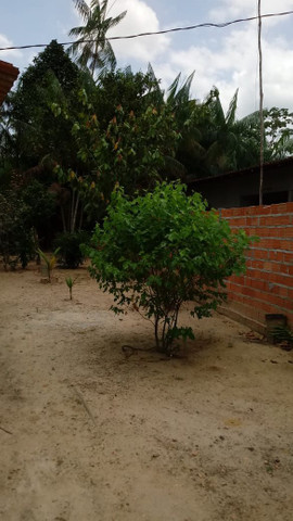 Casa na pratinha em Santa Bárbara - Foto 6