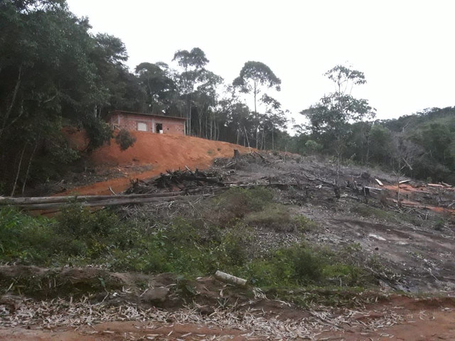 Vende se Chácara em Santa Leopoldina - Foto 3