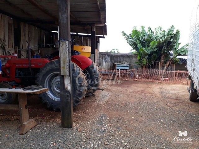 Bairro Uvaranas - Foto 8