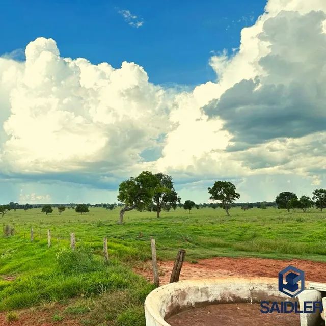 Faz em Nova Andradina-MS, 5.793 hectares. - Foto 2