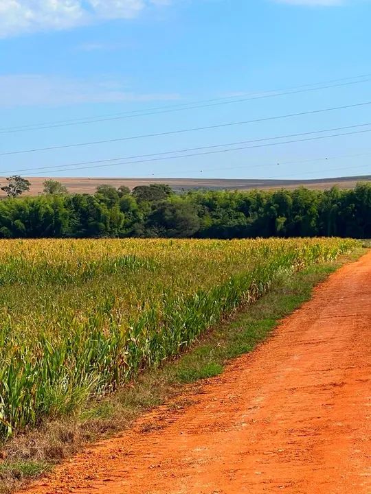 Sítio a venda em Francisco Alves PR. - Foto 3