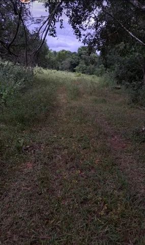 VÊNDO CHÁCARA  - Foto 8