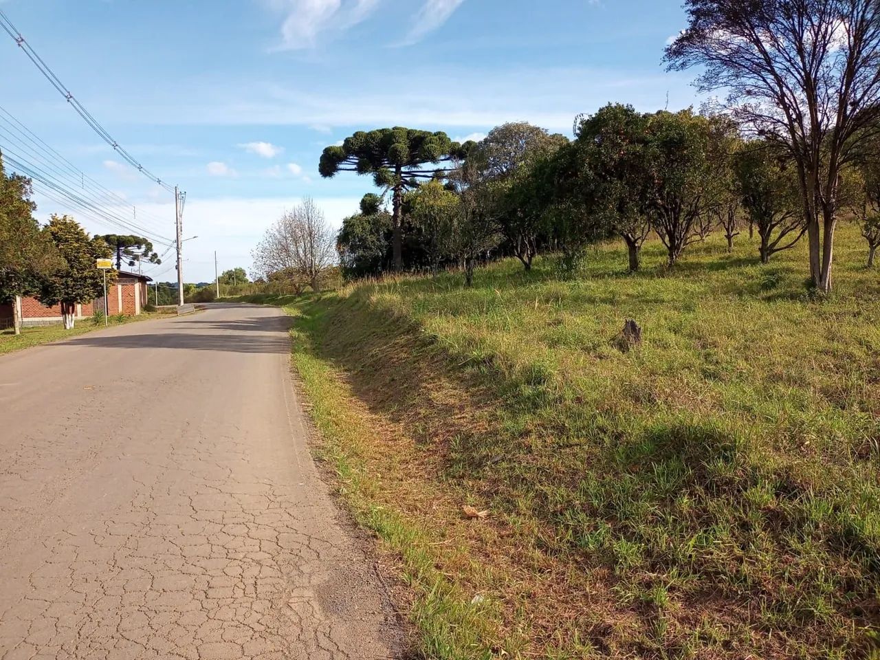 Área para investimento 2 a 7 hectares em Gramado  - Foto 4