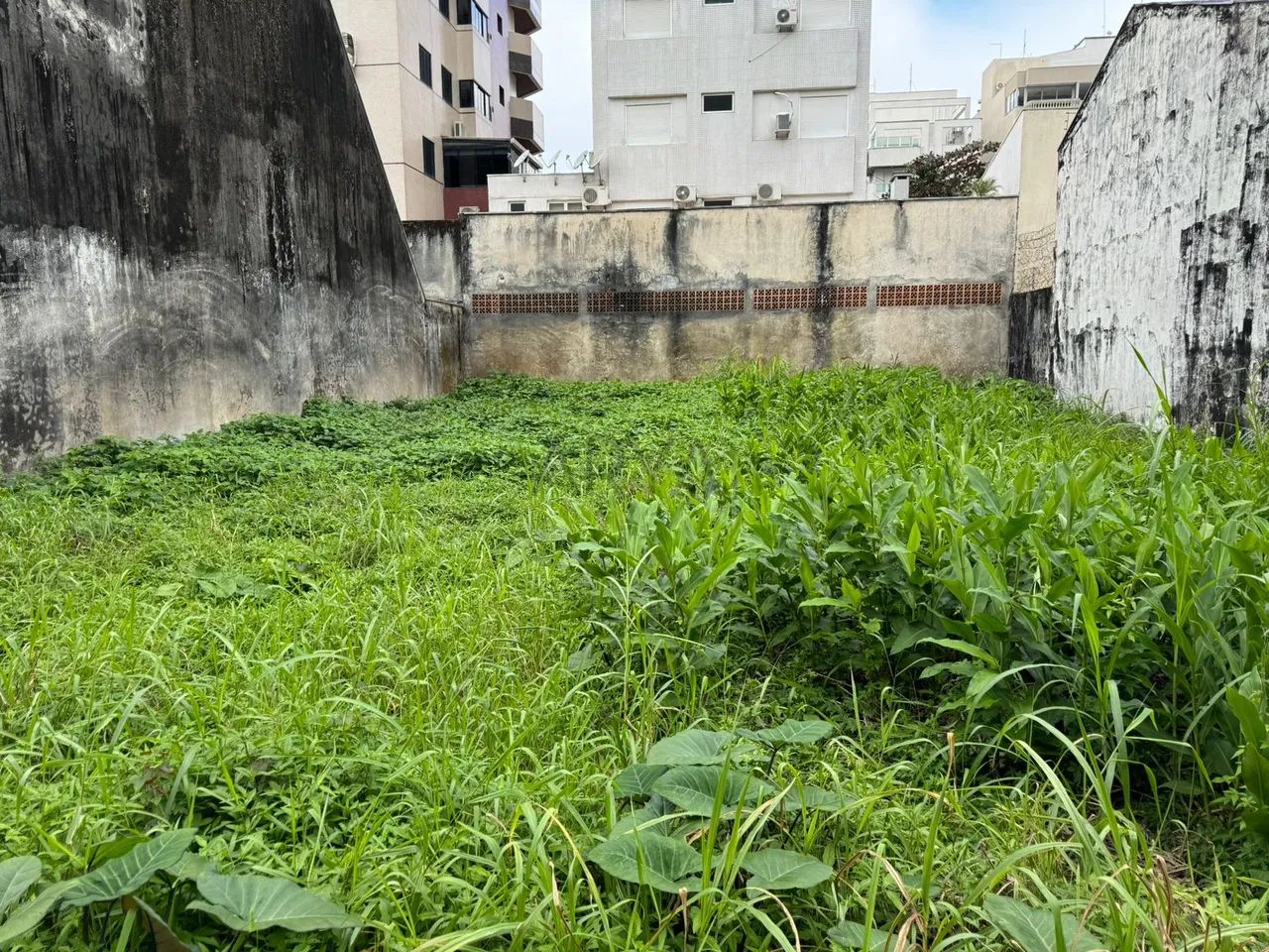 Terreno à venda em Caiobá ARYA1 - Foto 6