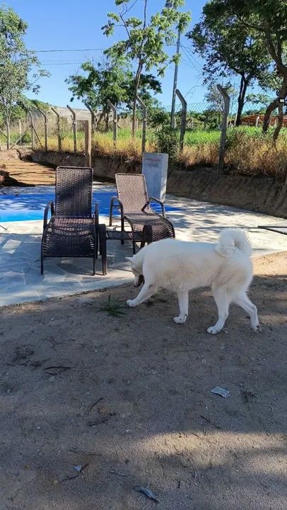 Espreguiçadeira com Regulagem de encosto  - Foto 3
