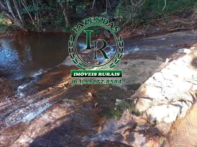 Fazenda / chácara 21,8 Alqueires  Próximo a Palmas-To - Foto 5
