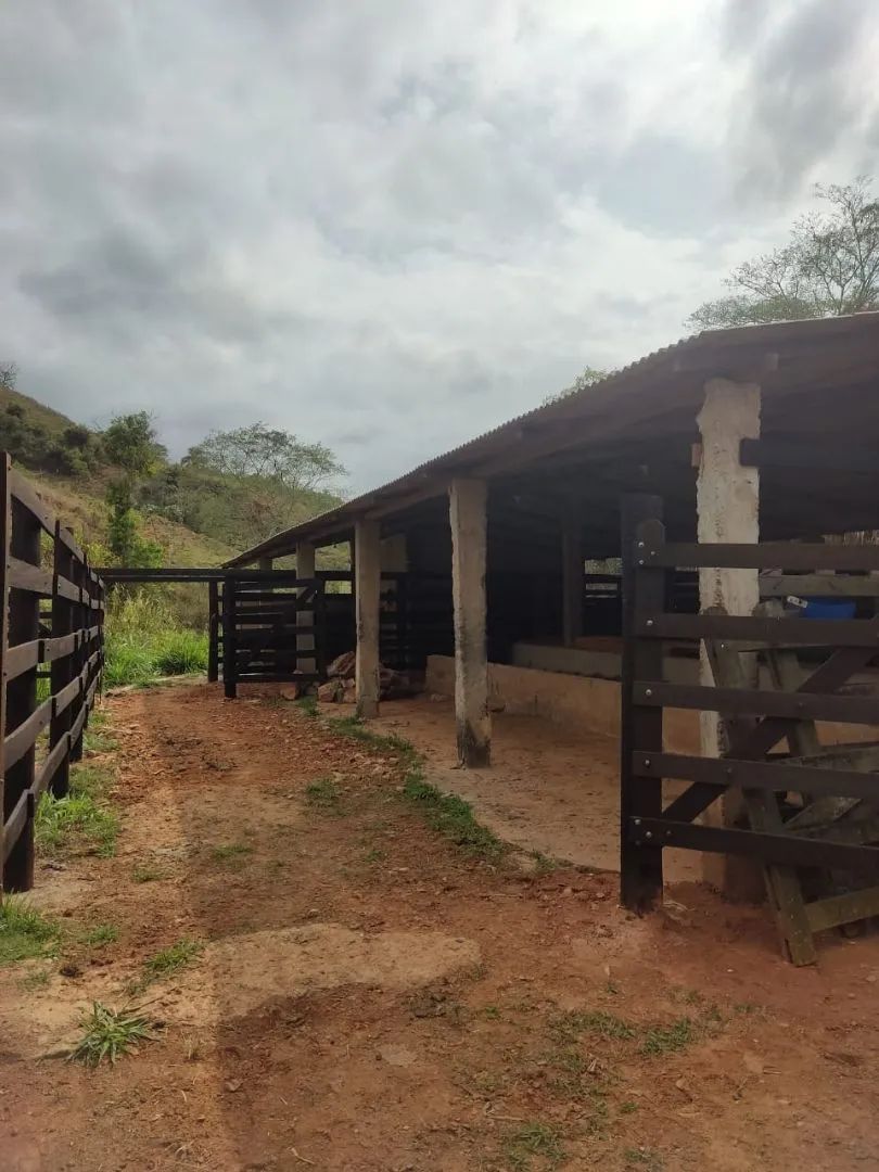 Paraíba do Sul - 11.5 alqueires. Oportunidade única! - Foto 7