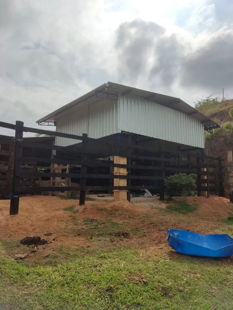 Paraíba do Sul - 11.5 alqueires. Oportunidade única! - Foto 4