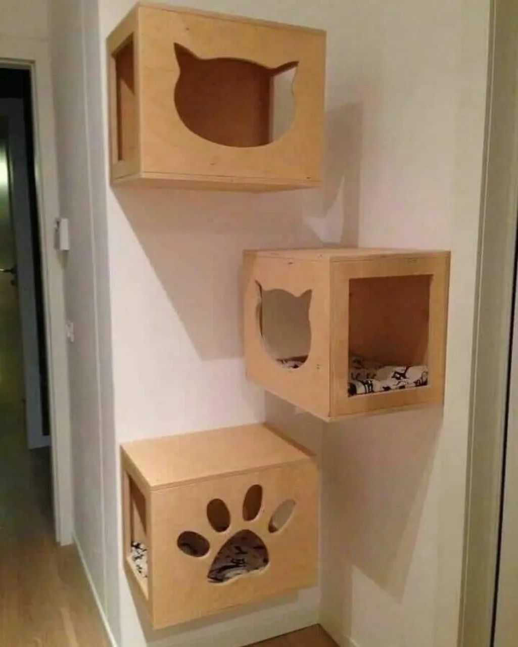 Circuito para gatos  - Foto 3